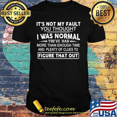 It's Not My Fault You Thought I Was Normal You've Had More Than Enough Time And Plenty Of Clues To Figure That Out Shirt
