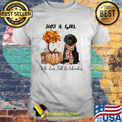 Just a girl who loves fall and labradors tree pumpkin shirt