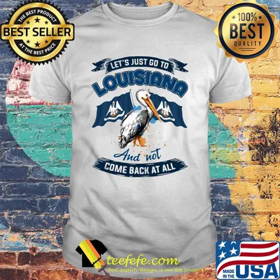 Let's just go to louisiana and not come back at all flag shirt