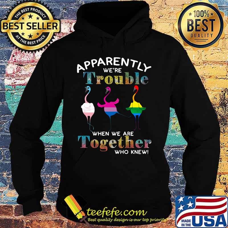 Lgbt flamingo apparently we're trouble when we are together who knew s Hoodie Lgbt flamingo apparently we're trouble when we are together who knew s Hoodie