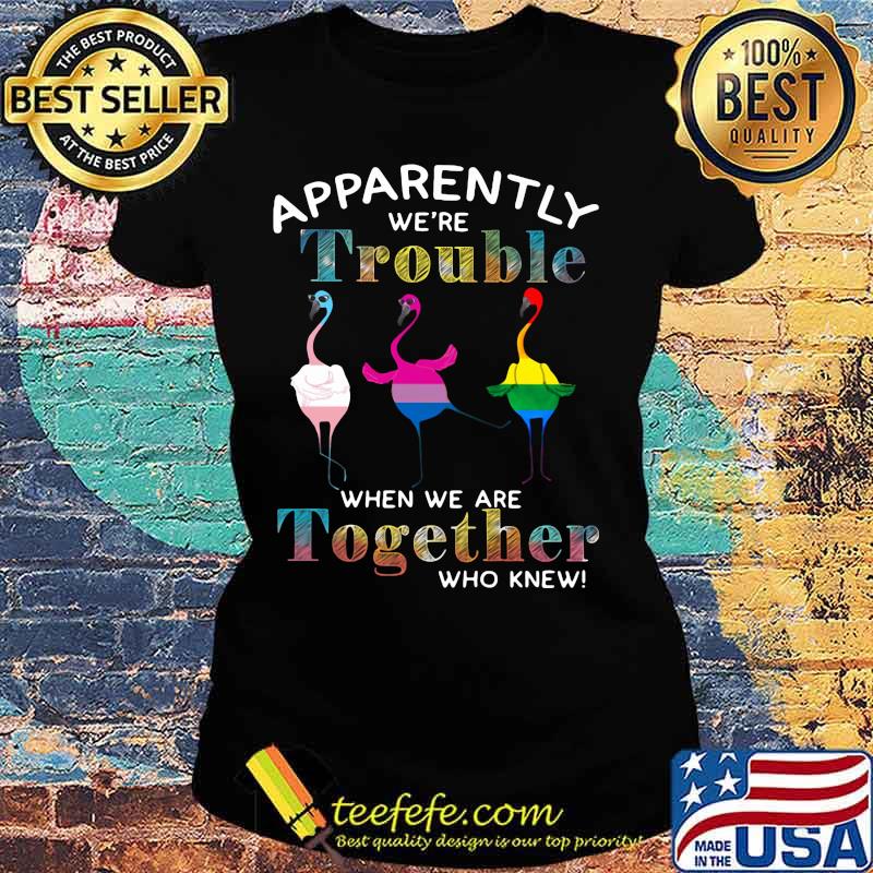 Lgbt flamingo apparently we're trouble when we are together who knew s Ladies tee Lgbt flamingo apparently we're trouble when we are together who knew s Ladies tee