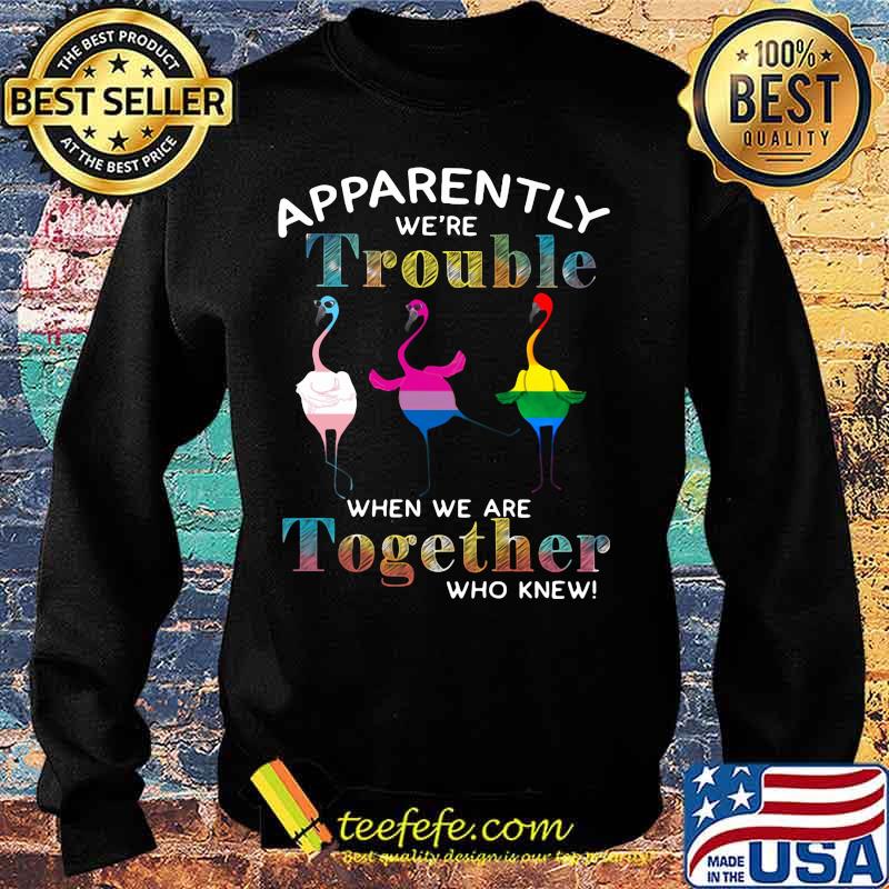Lgbt flamingo apparently we're trouble when we are together who knew s Sweater Lgbt flamingo apparently we're trouble when we are together who knew s Sweater