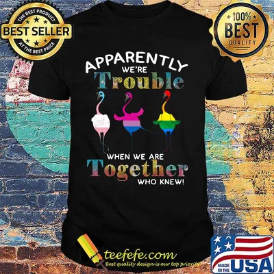 Lgbt flamingo apparently we're trouble when we are together who knew shirt