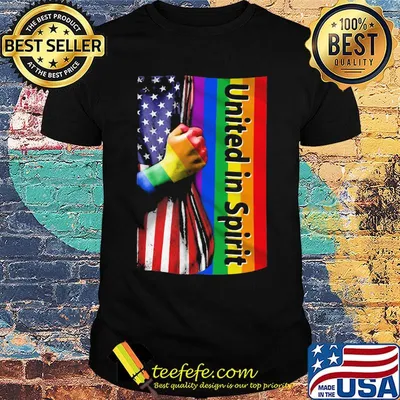 LGBT united in spirit flag USA shirt