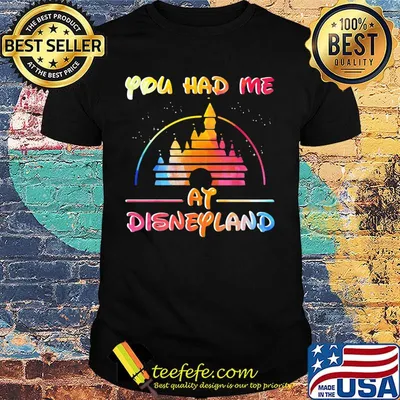 Lgbt you had me at disneyland shirt
