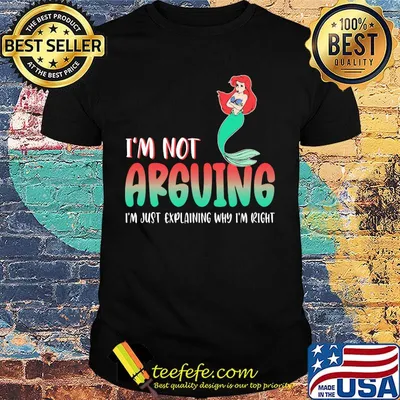 Mermaid i'm not arguing im just explaining why i'm right shirt