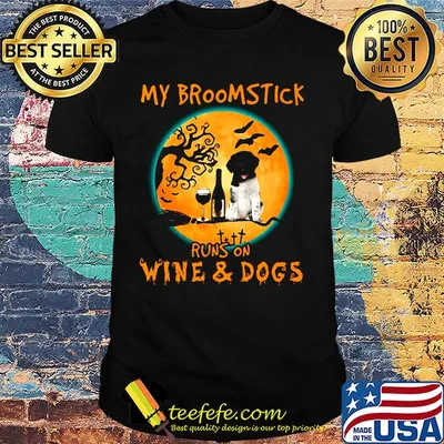 My broomstick runs on wine and dogs halloween moon shirt
