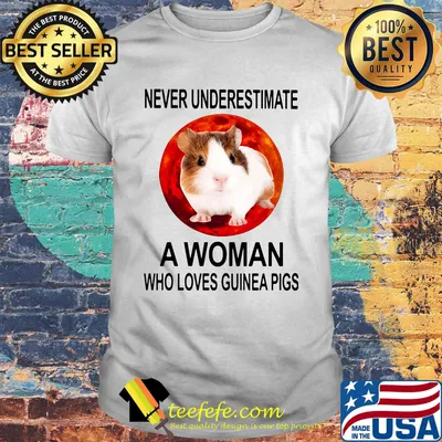 Never underestimate a woman who loves guinea pig sunset shirt