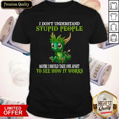 Nice Dragon I Dont Understand Stupid People Maybe I Should Take One Apart To See How It Works Shirt