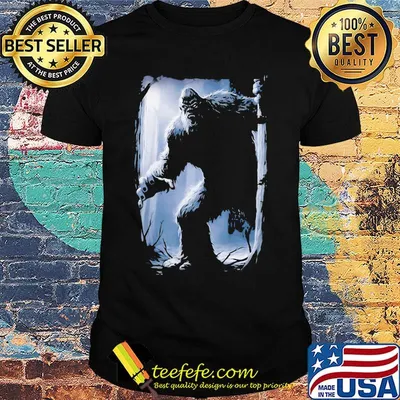 Official Bigfoot hide and seek champion 2 shirt