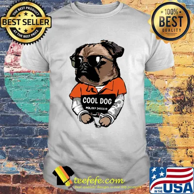 Official danielson cool dog shirt