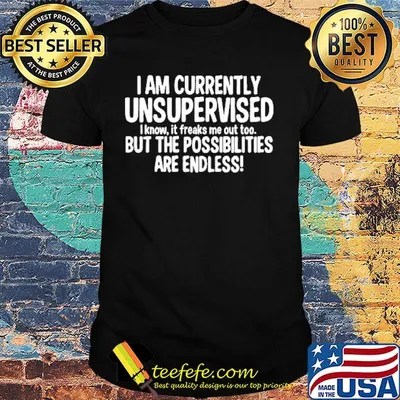 Official I Am Currently Unsupervised I Know It Freaks Me Out Too But the Possibilities Are Endless Shirt