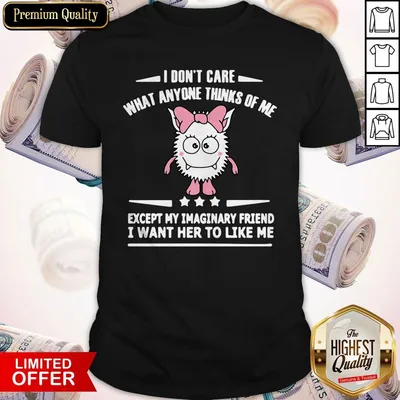 Official I Dont Care What Anyone Thinks Of Me Except My Imaginary Friend I Want Her To Like Me Shirt