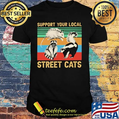 Official Support your local street cats Vintage retro shirt