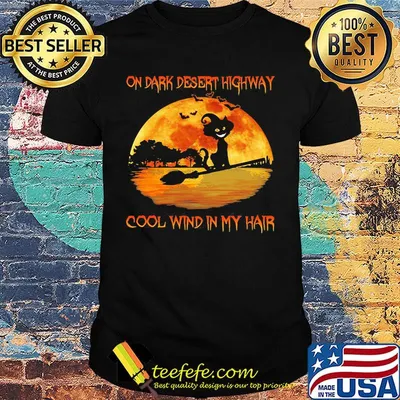 On dark desert highway cool wind in my hair cat riding a broom moon halloween shirt