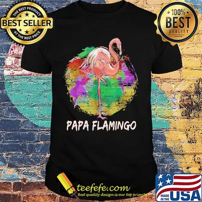 Papa Flamingo Color Circle Shirt