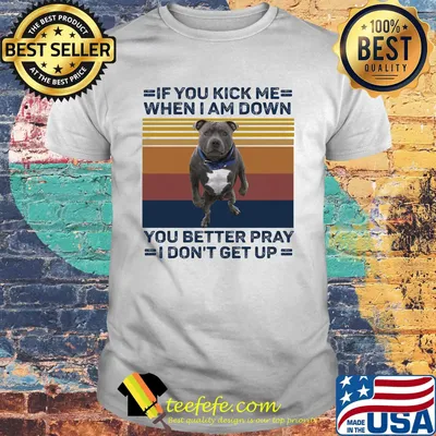 Pitbull if you kick me when i am down you better pray i don't get up vintage retro white shirt