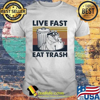 Raccoon live fast eat trash vintage retro shirt