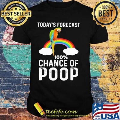 Rainbow today's forecast 100 percent chance of poop shirt