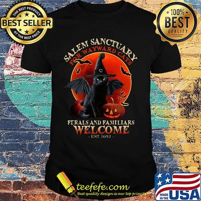 Salem Sanctuary For Wayward Cats Ferals And Familiars Welcome Est 1692 Blood Moon Halloween Shirt