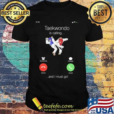 Taekwondo is calling and i must go shirt