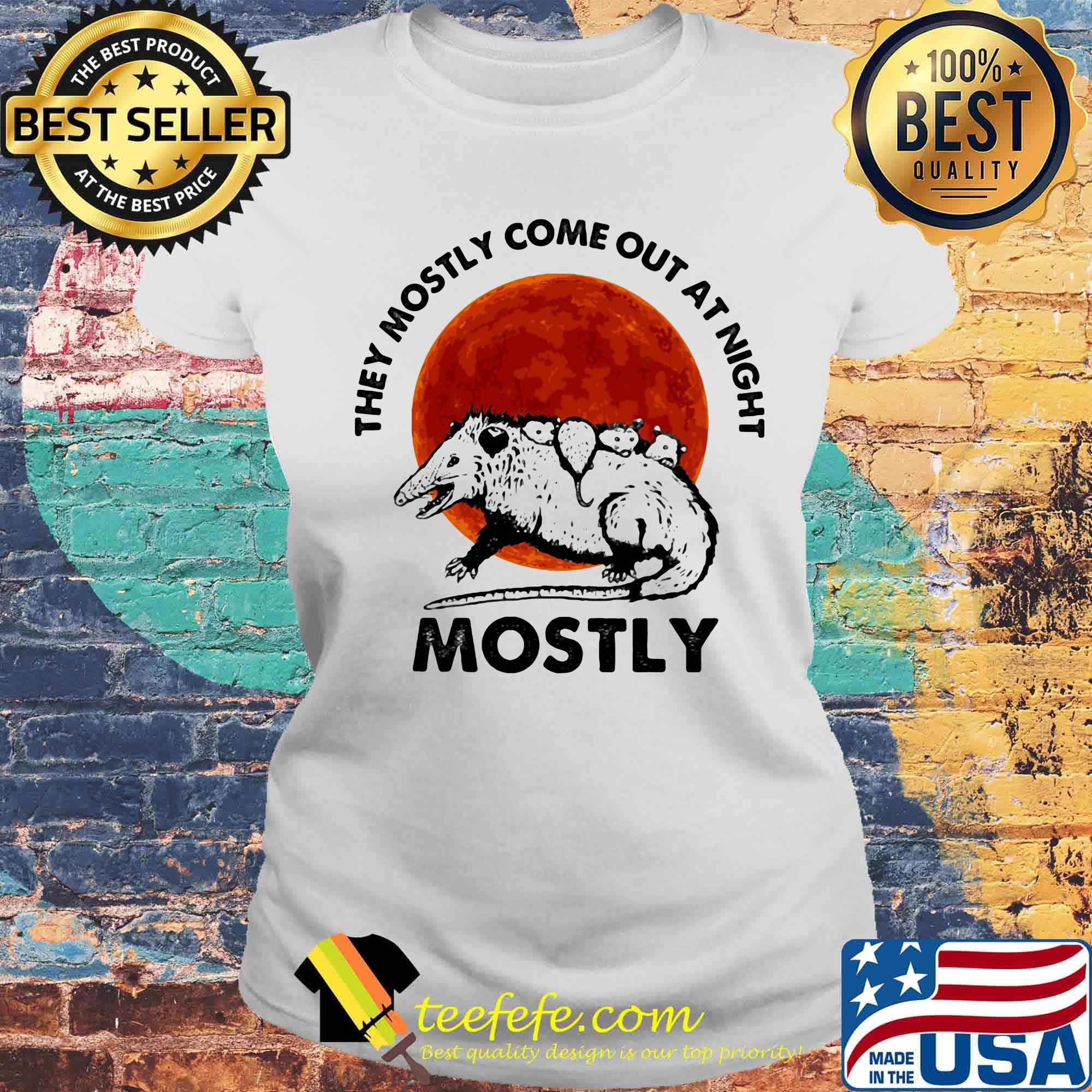 They mostly come out at night mostly sunset s Laides tee They mostly come out at night mostly sunset s Laides tee