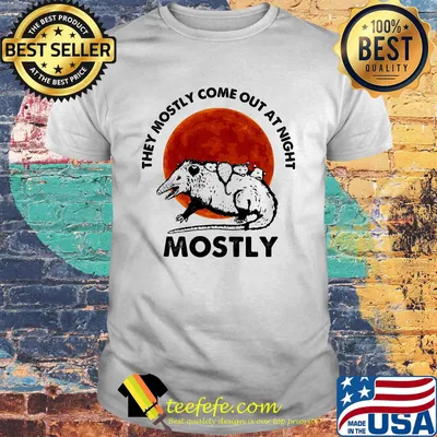 They mostly come out at night mostly sunset shirt