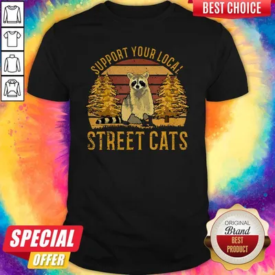 Top Support Your Local Street Cats Raccoon Sunset Shirt