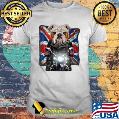 Vicious english bulldog face ride a motorcycle england flag shirt