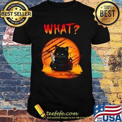What Black Cat Sunset Halloween Shirt