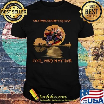 Witch on a dark desert highway cool wind in my hair moon shirt