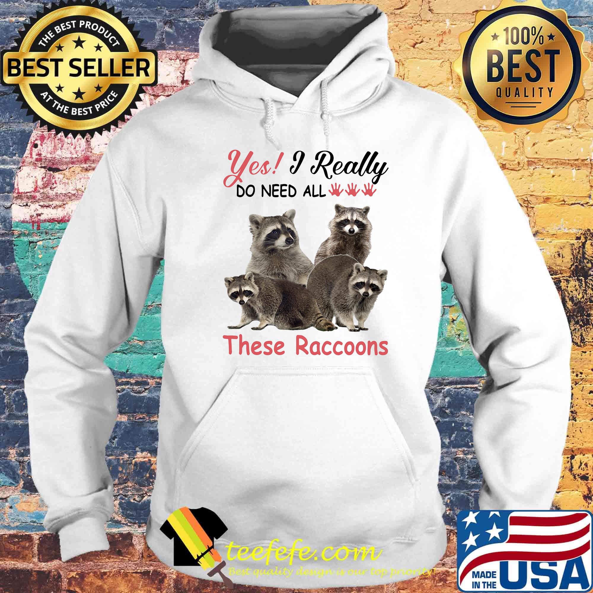 Yes I really do need all These Raccoons s Hoodie Yes I really do need all These Raccoons s Hoodie