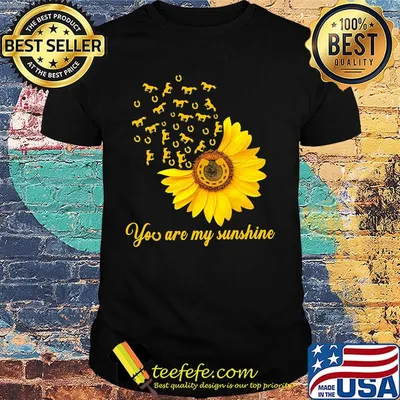 You are my sunshine sunflower horseshoe shirt