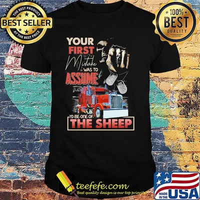 Your First Mistake Was To Assume To Be One Of The Sheep Skullcap Hand Shirt
