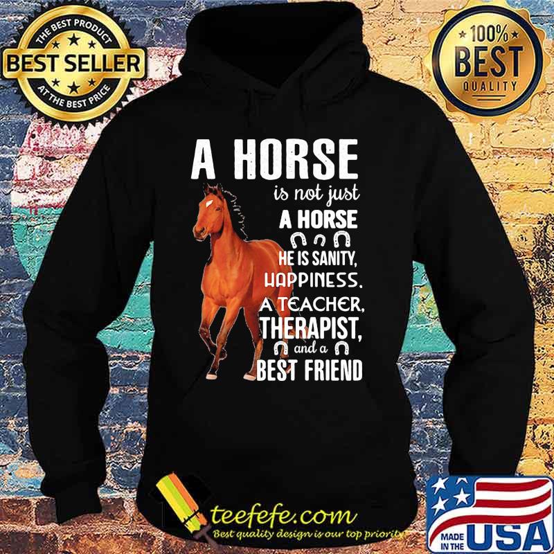 A horse is not just A horse he is sanity happiness a teacher therapist and a best friend s Hoodie A horse is not just A horse he is sanity happiness a teacher therapist and a best friend s Hoodie