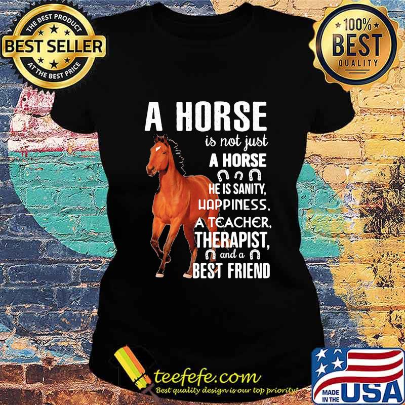 A horse is not just A horse he is sanity happiness a teacher therapist and a best friend s Ladies tee A horse is not just A horse he is sanity happiness a teacher therapist and a best friend s Ladies tee
