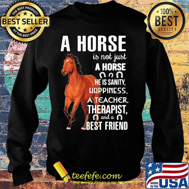 A horse is not just A horse he is sanity happiness a teacher therapist and a best friend s Sweater A horse is not just A horse he is sanity happiness a teacher therapist and a best friend s Sweater