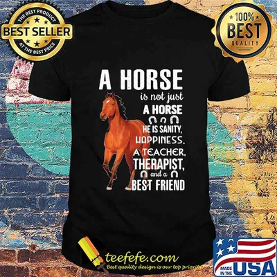 A horse is not just A horse he is sanity happiness a teacher therapist and a best friend shirt
