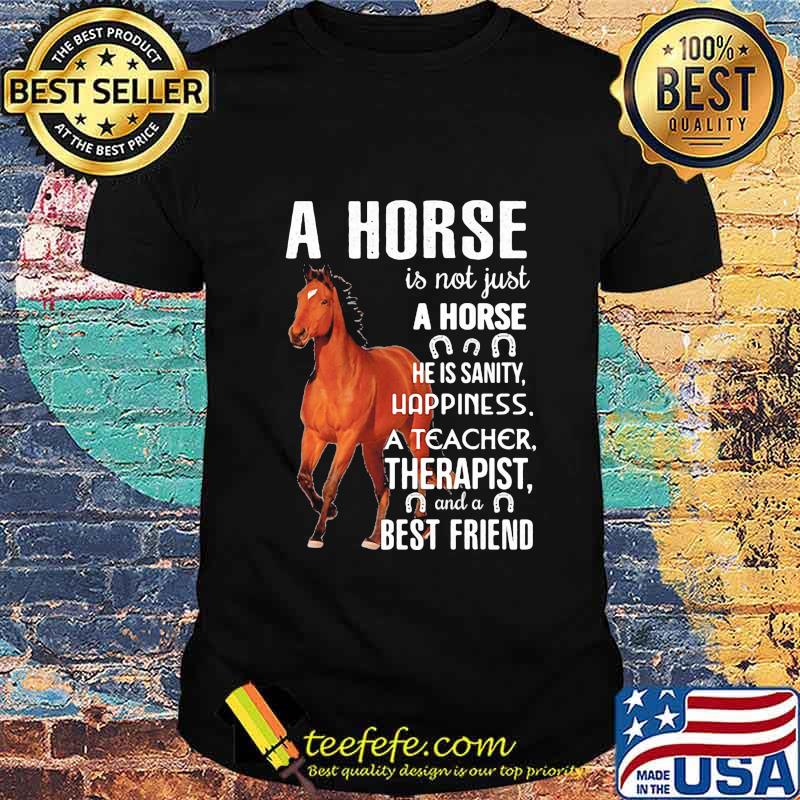 A horse is not just A horse he is sanity happiness a teacher therapist and a best friend shirt
