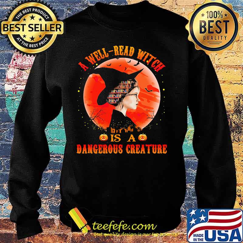 A well read witch is a dangerous creature sunset s Sweater A well read witch is a dangerous creature sunset s Sweater