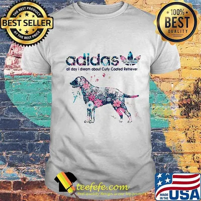 Adidas all day i dream about coated retriever flowers shirt