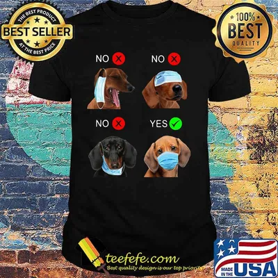 BEAGLE HOW TO WEAR YOUR FACE MASK SHIRT