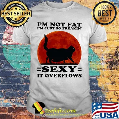 Black Cat I'm not fat I'm just so freakin' sexy it overflows sunset shirt