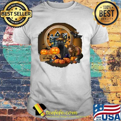 Black Cat Witch Pumpkin Witch Halloween shirt