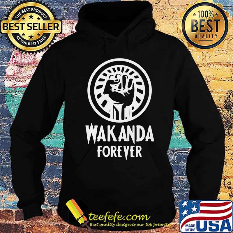 Black panther rip chadwick Boseman wakanda forever black lives matter s Hoodie Black panther rip chadwick Boseman wakanda forever black lives matter s Hoodie