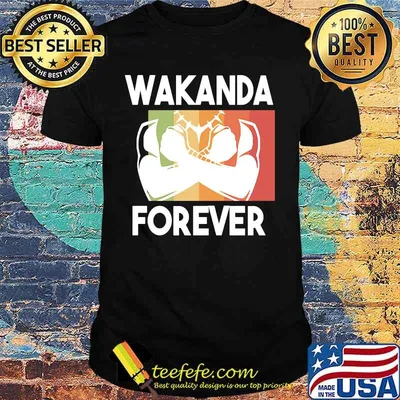 Black panther rip chadwick Boseman wakanda forever vintage retro shirt