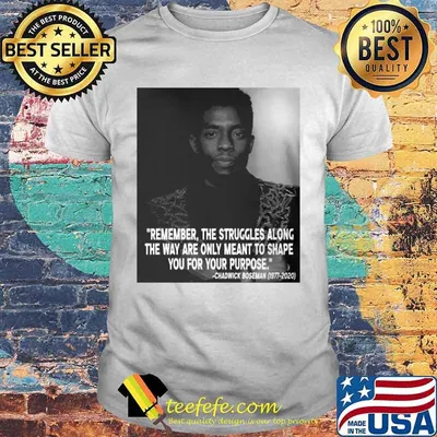 Black panther rip chadwick remember the struggles along the way are only meant to shape you for your purpose 1976 2020 shirt