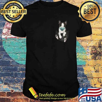 Boston terrier in the bag shirt