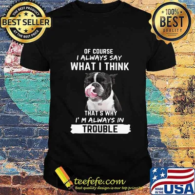 Boston terrier of course i always say what i think thats why i'm always in trouble shirt