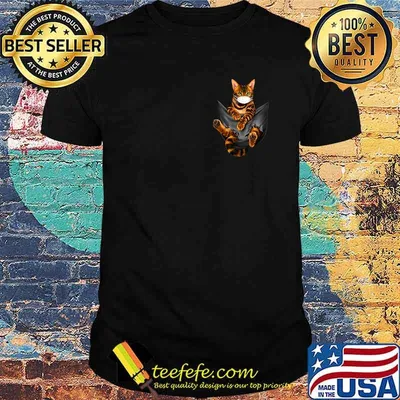 Cat wear mask in the bag shirt
